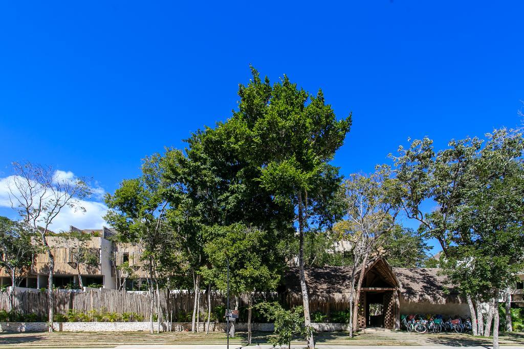 Eco-Chic Design Condos Wrapped In Nature'S Elements By Stella Rentals Tulum Luaran gambar
